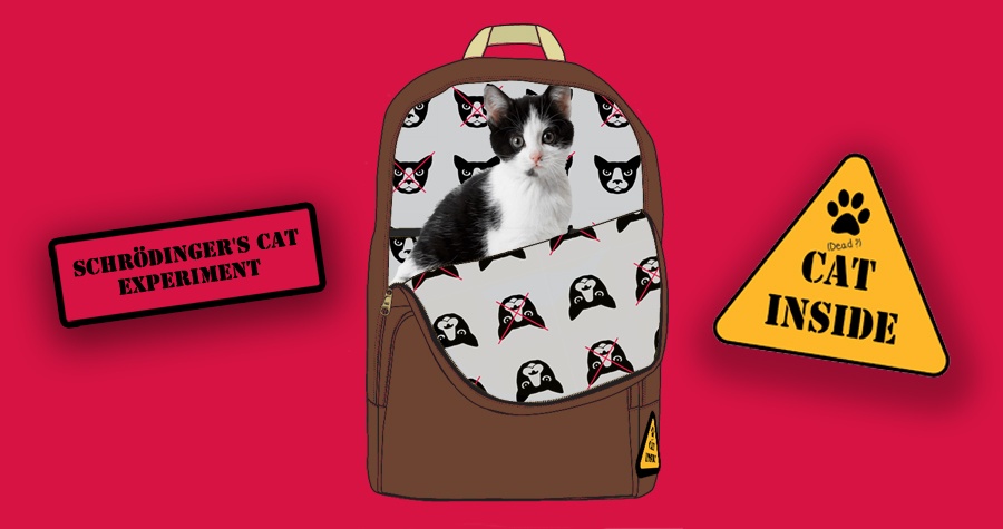 Schrödinger's bag