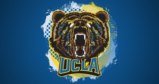 The Bruin