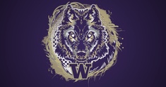Image representing Alpha Dog
